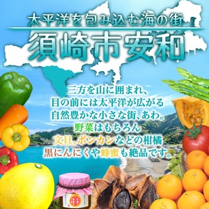 【 無農薬 】 無農薬野菜 6回定期便 6ヶ月 13品