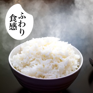 【 コシヒカリ 】 コシヒカリ 5kg