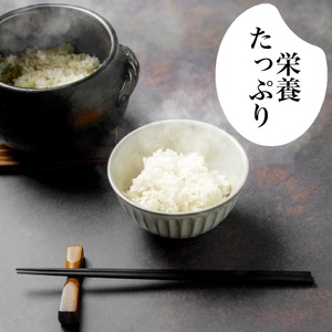 【 コシヒカリ 】 コシヒカリ 10kg