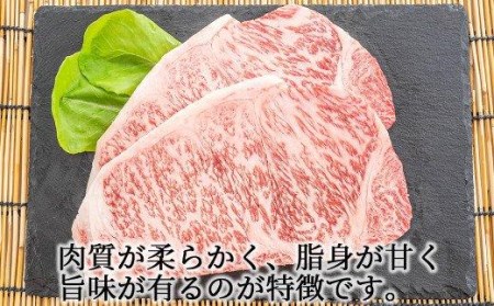 肉 牛肉 国産 黒毛 和牛 サーロイン ステーキ 400g 希少 幻の大川黒毛