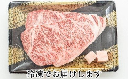 肉 牛肉 国産 黒毛 和牛 サーロイン ステーキ 400g 希少 幻の大川黒毛