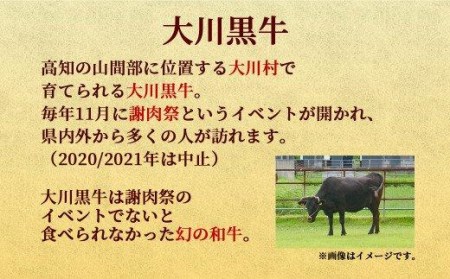 肉 牛肉 国産 黒毛 和牛 サーロイン ステーキ 400g 希少 幻の大川黒毛和牛 高知県 須崎市