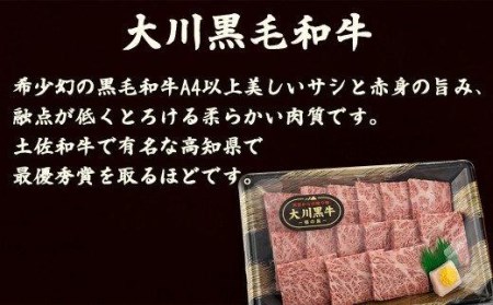 肉 牛肉 国産 黒毛 和牛 ロース 300g 鶏肉 もも むね お得 パック 詰め合わせ 土佐はちきん地鶏 希少 幻の大川黒毛和牛 ブランド鶏 土佐はちきん地鶏 高知県 須崎市