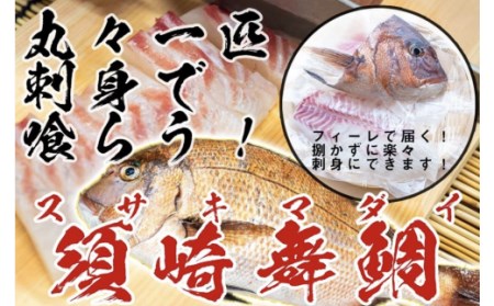 鯛 タイ 刺身 まるごと 1匹分 400～500g 鮮魚 冷蔵 須崎舞鯛 ブランド 魚 産地直送 高知県 須崎市  鯛 鯛飯 鯛 カルパッチョ たい 酢ミカン 鯛 炙り タイ 昆布締め 鯛 塩焼き 鯛 塩釜焼 鯛 漬け丼 鯛 海鮮丼 鯛ソテー 鯛 刺身醤油 鯛 わさび タイ あら煮 タイ ハーブ焼き 鯛 贅沢 鯛 茶漬け 鯛 そぼろ 鯛 蒸し焼き