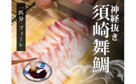 鯛 タイ 刺身 まるごと 1匹分 400～500g 鮮魚 冷蔵 須崎舞鯛 ブランド 魚 産地直送 高知県 須崎市  鯛 鯛飯 鯛 カルパッチョ たい 酢ミカン 鯛 炙り タイ 昆布締め 鯛 塩焼き 鯛 塩釜焼 鯛 漬け丼 鯛 海鮮丼 鯛ソテー 鯛 刺身醤油 鯛 わさび タイ あら煮 タイ ハーブ焼き 鯛 贅沢 鯛 茶漬け 鯛 そぼろ 鯛 蒸し焼き