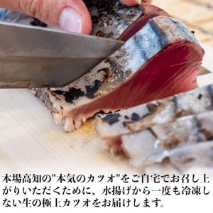 カツオのたたき 鰹のタタキ 約400g 国産 わら焼き 極上 鮮度抜群 高知 須崎
