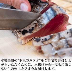 【 かつおタタキ 】 かつおタタキ 約400g