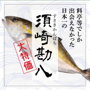 【 藁焼き 】 藁焼き カンパチタタキ 約350g