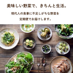 定期便 野菜 12回 7~8品程度 12か月 詰め合わせ セット 毎月お届け 1年間 高知県 須崎市