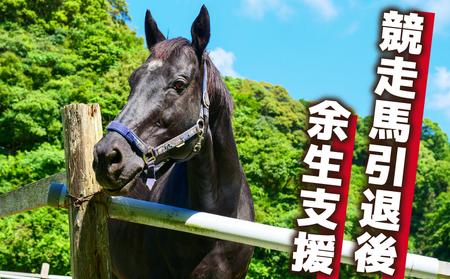 競走馬 支援 100万円 コース 黒潮友馬会応援 1000000円 特典 ポストカード 競馬 サラブレッド 引退 高知県 須崎市