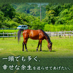 競走馬 支援 100万円 コース 黒潮友馬会応援 1000000円 特典 ポストカード 競馬 サラブレッド 引退 高知県 須崎市