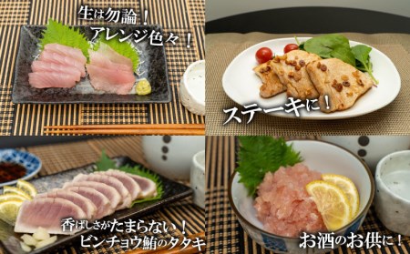 マグロ 2kg 国産 天然 鮪 刺身 炙り ネギトロ 漬け ステーキ 用 大容量 