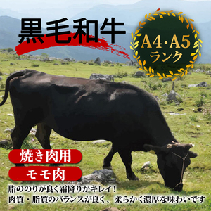 土佐 黒毛 和牛 焼肉用1.2kg （ 400g × 3パック ） | 特撰 モモ肉 最上位等級 A4 A5 最高ランク 1kg 以上 贅沢 焼き肉 やきにく 小分け 冷凍 国産 ブランド 和牛 牛肉 大人気 ギフト リピート リピーター おすすめ ランキング おいしい 限定 高評価 BBQ バーベキュー キャンプ アウトドア 高知県 須崎 TM012