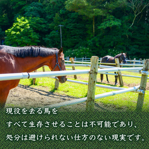 競走馬 競馬 引退後 余生支援 黒潮友馬会 500万円コース 高知県 須崎市 競走馬 引退 支援 競走馬 引退 支援 競走馬 引退 支援 競走馬 引退 支援 競走馬 引退 支援