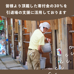 競走馬 競馬 引退後 余生支援 黒潮友馬会 500万円コース 高知県 須崎市 競走馬 引退 支援 競走馬 引退 支援 競走馬 引退 支援 競走馬 引退 支援 競走馬 引退 支援