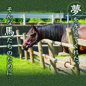 競走馬 競馬 引退後 余生支援 黒潮友馬会 1,000万円コース 高知県 須崎市 競走馬 引退 支援 競走馬 引退 支援 競走馬 引退 支援 競走馬 引退 支援 競走馬 引退 支援