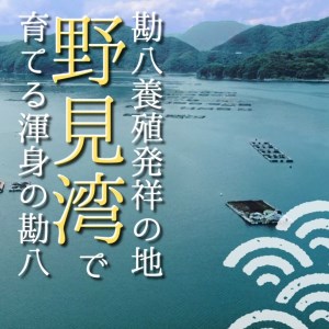 【 カンパチ 】 カンパチ須崎勘八 1尾