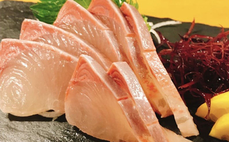 【 刺身定期便 】 刺身定期便 4ヶ月