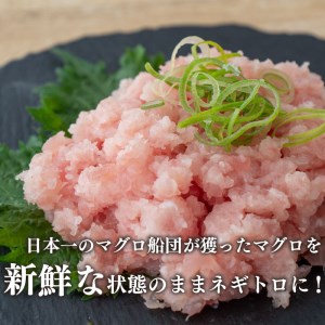 ネギトロ 1kg 冷凍 鮪  小分けパック 250g×4パック 高知県 須崎市（ねぎとろ まぐろ マグロ 鮪 キハダマグロ 黄肌鮪 マグロ 料理 マグログルメ 天然マグロ マグロ好き 須崎産マグロ 高知県産 マグロ ねぎとろ 訳あり ネギトロ  不揃い マグロ ねぎとろ 訳あり ねぎとろ サイズ不揃い マグロ ねぎとろ 訳あり 訳あり マグロ 訳あり まぐろ 訳あり ねぎとろ）