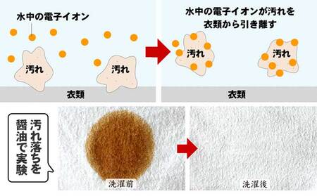 洗濯 洗剤 竹炭の洗い 1L 10本 セット 敏感肌 アトピー 高知県 須崎市