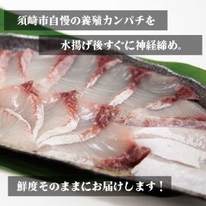 カンパチ しゃぶしゃぶ用 18切 昆布付 養殖 冷凍 高知県 須崎市