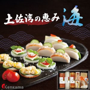 かまぼこ詰め合わせセット【土佐湾の恵み 海】 産地直送 贈答用かまぼこ かまぼこ 蒲鉾 蒲鉾