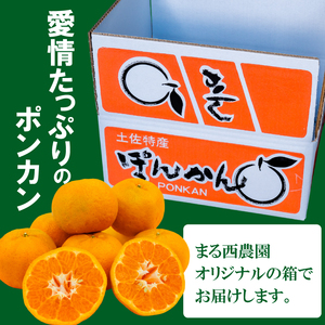 【2025年1月より発送】 訳あり 家庭用 ポンカン 5kg 早期予約 産地直送 浦ノ内産 ぽんかん みかん 蜜柑 柑橘 訳あり品 高知県 須崎市 MN0031