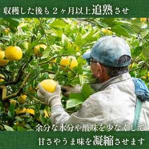 【2025年2月より発送】 高知県産 土佐文旦 訳あり ぶんたん 人気 旬 柑橘 フルーツ 果物 家庭用 みかん 国産 ブランド ビタミン 生産者 産地 須崎市 5kg KJS020-xx