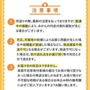 【2025年2月より発送】 高知県産 土佐文旦 訳あり ぶんたん 人気 旬 柑橘 フルーツ 果物 家庭用 みかん 国産 ブランド ビタミン 生産者 産地 須崎市 5kg KJS020-xx