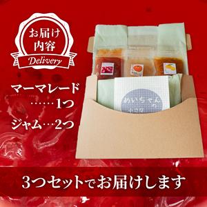【 ジャム 】 ジャム 3種セット