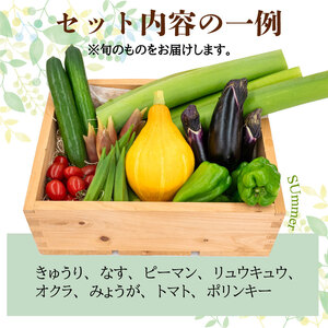 野菜 セット 6 ～ 8品目 詰め合わせ レシピ 付き 産地直送 高知県 須崎市 なばな 新玉ねぎ そら豆 スナップえんどう 春キャベツ フルーツトマト カラフルじゃが芋 みょうが ズッキーニ オクラ コリンキー かぼちゃ リュウキュウ すじなし豆 トマト 空心菜 花ニラ さつま芋 栗 秋豆 ぶしゅかん しょうが 金時しょうが チャーテ キク芋 赤大根 白大根 かぶ カリフラワー 芽キャベツ