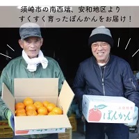 訳あり ぽんかん 5kg サイズ混合 柑橘 みかん 蜜柑 家庭用 高知県 須崎市