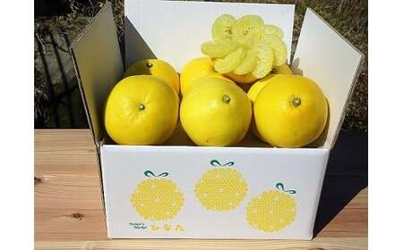 ひなた 土佐文旦 6kg 文旦