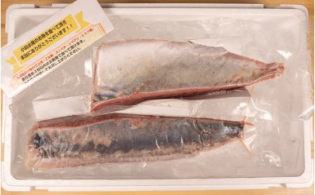 【 ブリ 】 ブリ定期便6ヶ月