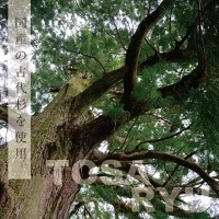 【 重箱 】 重箱古代杉