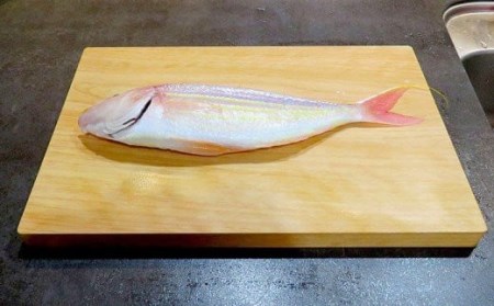 【 まな板 】 まな板檜