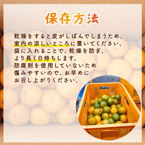 【須崎産ポンカン】冬の柑橘ポンカン 2.5kg