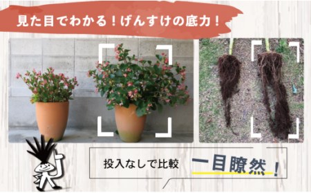 酵素と微生物で土のリサイクル 古い土を再生します！！ １００Ｌバージョン 高知県 須崎市