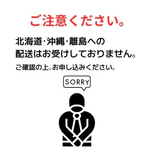 濃厚な甘さと味わいに恋する NOUKA の濃恋(こいこい) いちごアイス 6個 ( アイスクリーム いちご イチゴ 苺 練乳 卵 クリーム 果実入り トッピング ソース付き 夏 お子様 おやつ 添加物 不使用 )  EA102