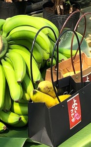 バナナ 600g以上 有機栽培 無農薬 国産 高知 初  高知県 須崎市
