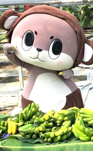 バナナ 600g以上 有機栽培 無農薬 国産 高知 初  高知県 須崎市