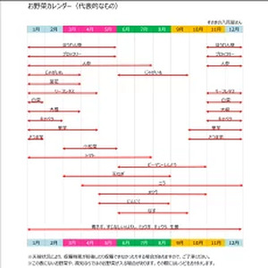 野菜 7～9品目 セット 野菜セット 季節野菜セット 新鮮野菜セット 旬野菜セット 朝採れ野菜セット 高知県 須崎市 NK001