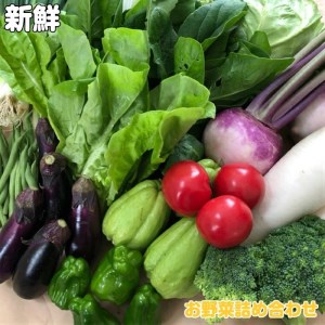 野菜 8種類程度 お米 2kg セット 詰め合わせ 季節 新鮮 産地直送 高知県 須崎市