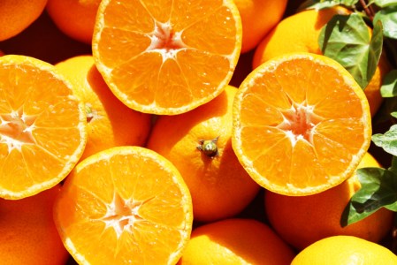 成田果樹園 温州みかん 5kg みかん