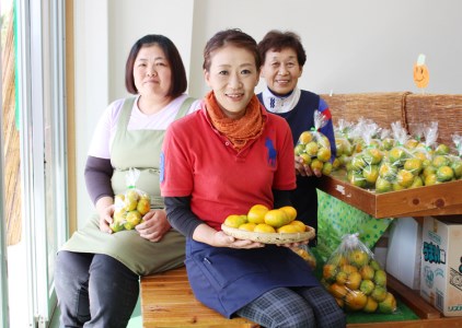 成田果樹園 温州みかん 5kg みかん