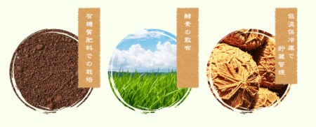 【令和4年産】ふくい農園のおいしいお米（コシヒカリ10kg）期間限定・数量限定