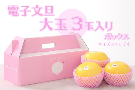 電子文旦〔大玉〕3玉入りボックス