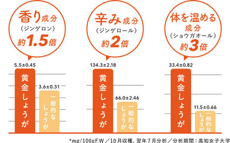 高知県産 黄金しょうが 2kg しょうが