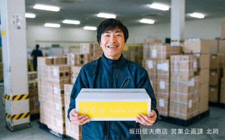 高知県産 黄金しょうが 2kg しょうが