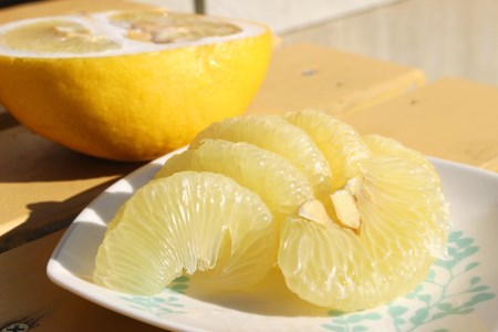 宿毛青果 宿毛産文旦 10kg 当店イチオシ 文旦